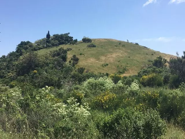 Almaden Quicksilver County Park