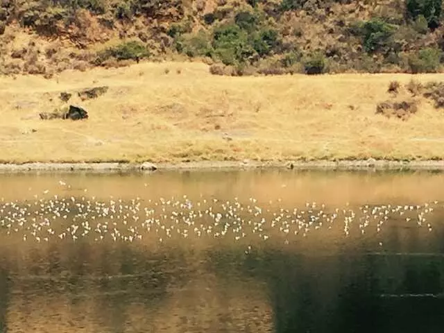 Almaden Quicksilver County Park