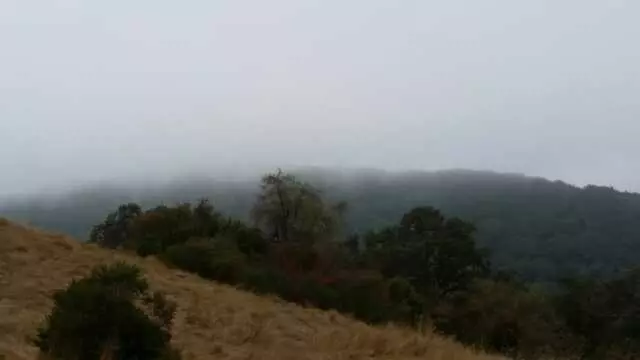 Almaden Quicksilver County Park