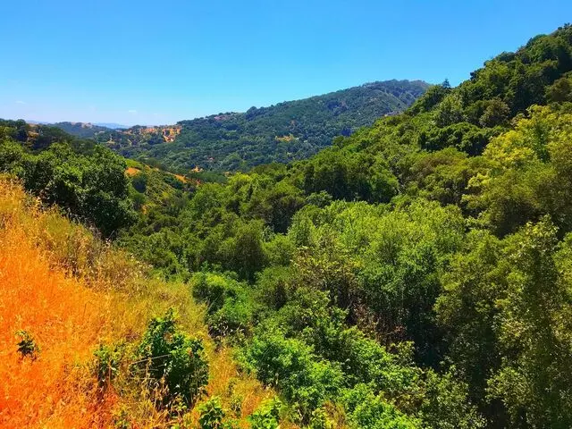 Almaden Quicksilver County Park