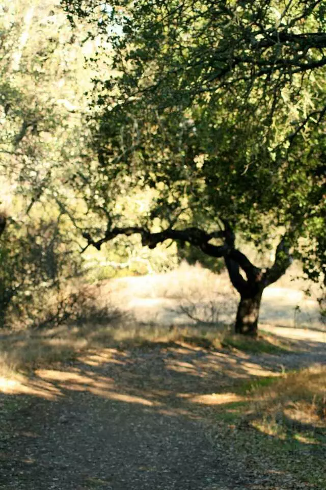 Almaden Quicksilver County Park