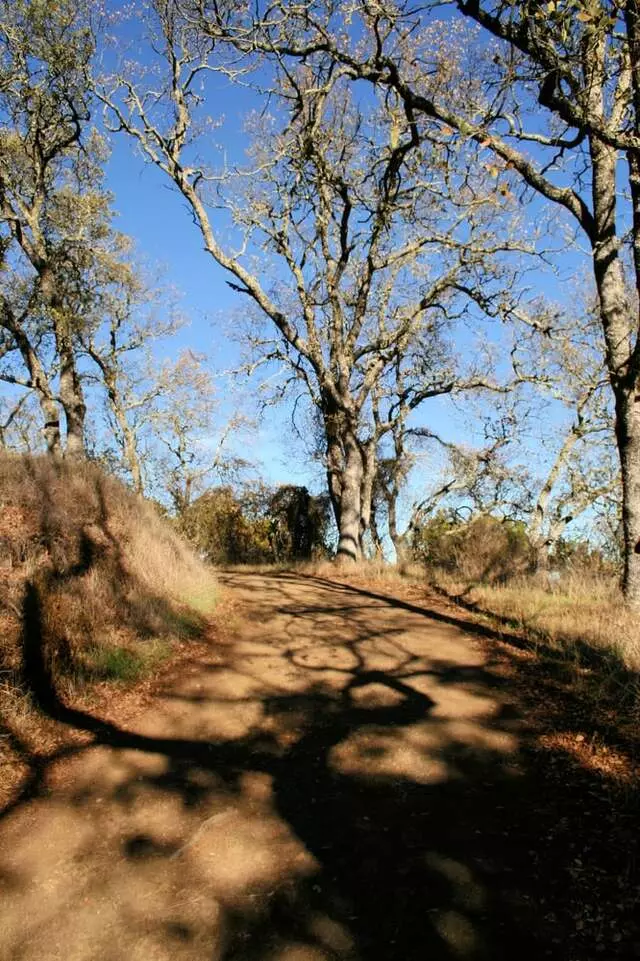 Almaden Quicksilver County Park