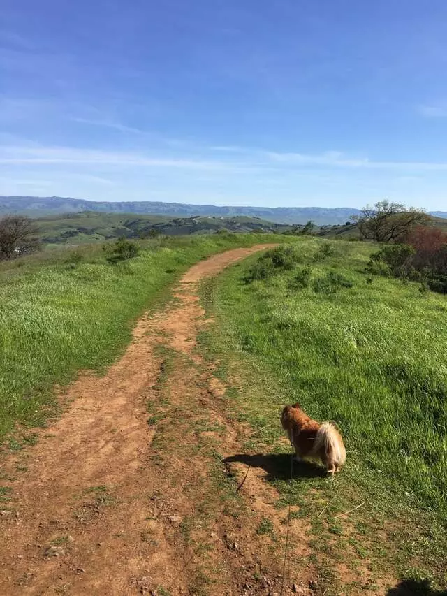 Almaden Quicksilver County Park