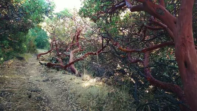 Almaden Quicksilver County Park