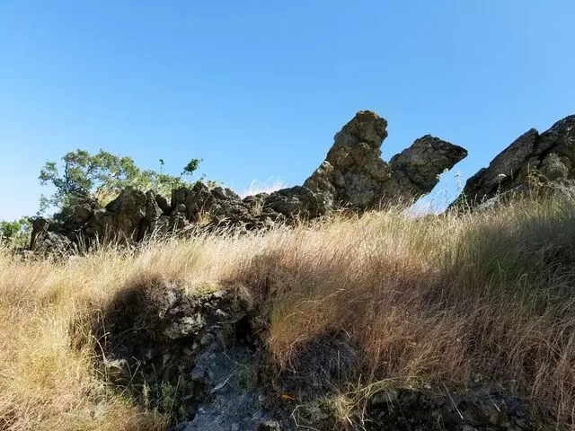 Almaden Quicksilver County Park