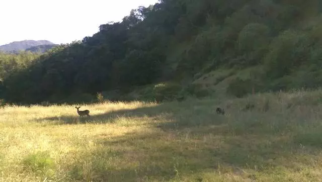 Almaden Quicksilver County Park