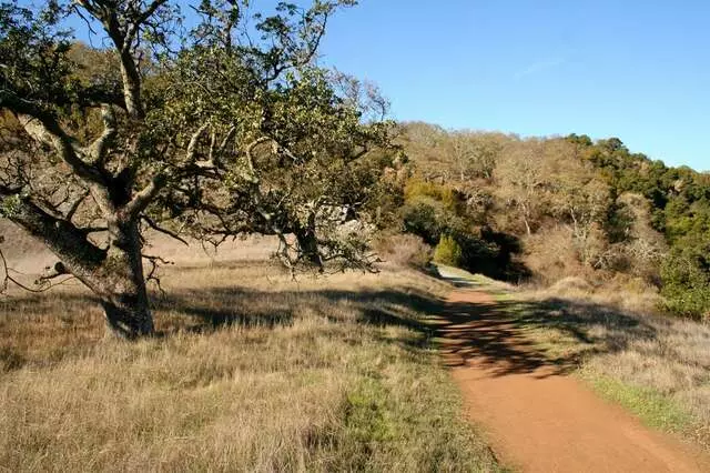 Almaden Quicksilver County Park