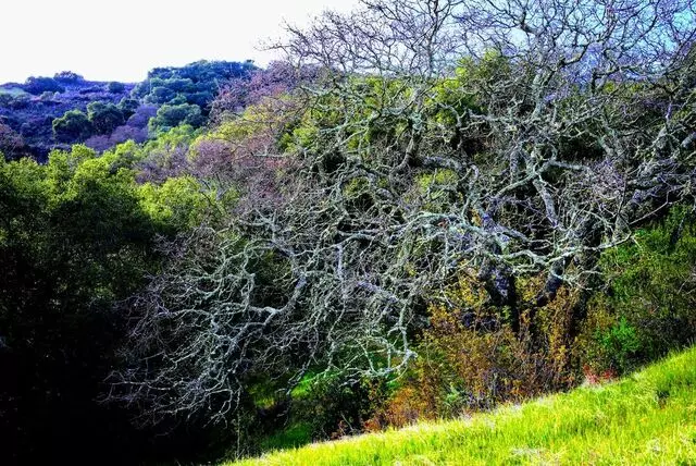 Almaden Quicksilver County Park