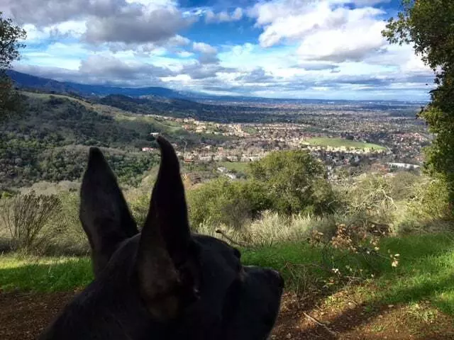 Almaden Quicksilver County Park
