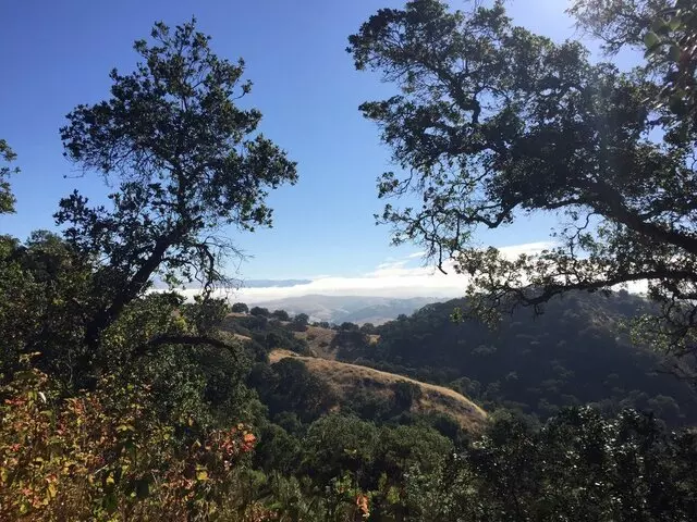 Almaden Quicksilver County Park