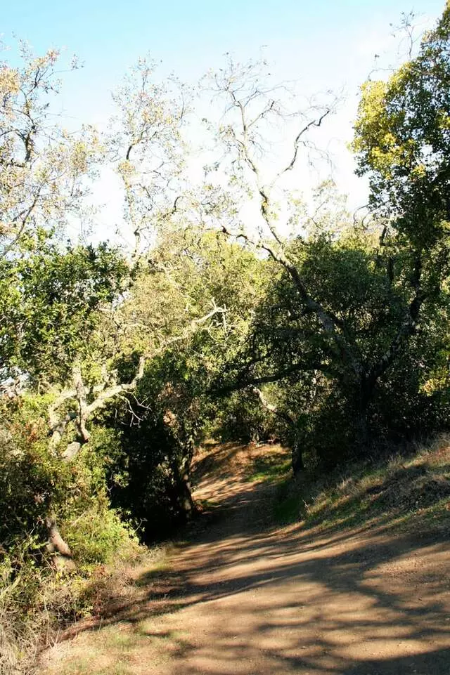 Almaden Quicksilver County Park