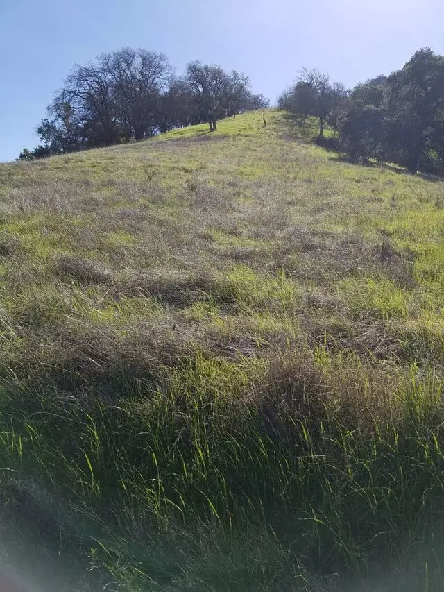 Almaden Quicksilver County Park