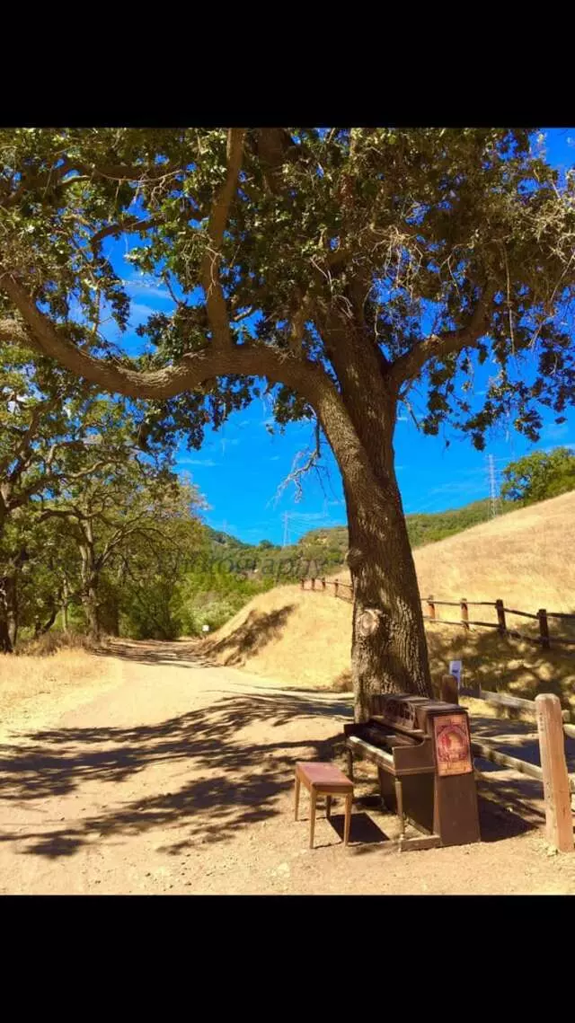 Almaden Quicksilver County Park