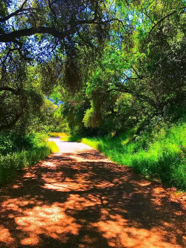 Almaden Quicksilver County Park