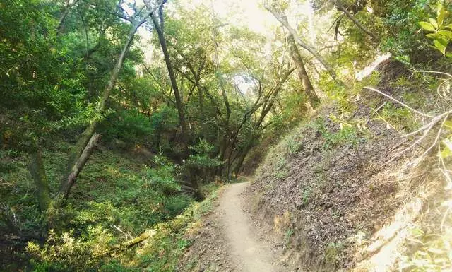 Almaden Quicksilver County Park