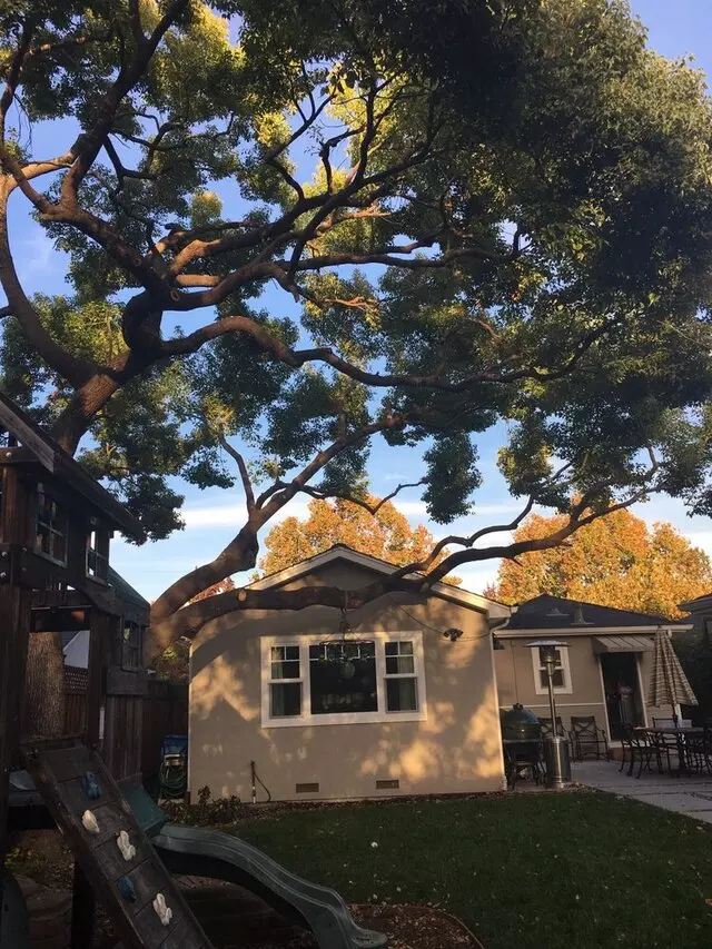 Artistic Tree Service