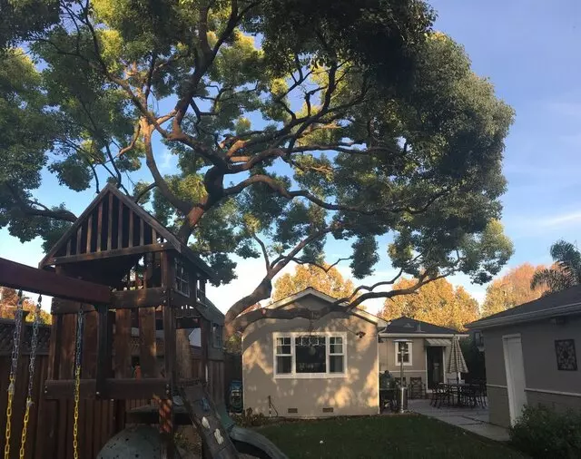 Artistic Tree Service