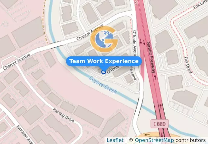 Team Work Experience