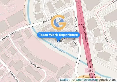 Team Work Experience