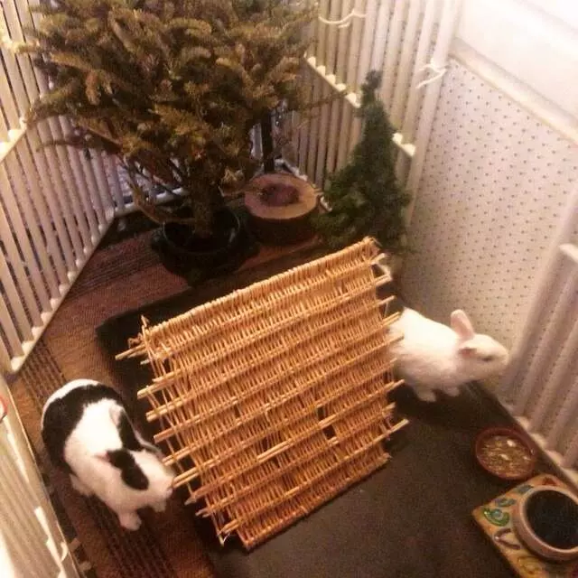 The Bunny Hay Loft