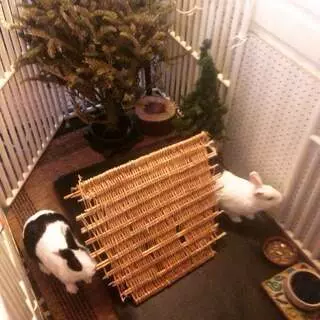 The Bunny Hay Loft