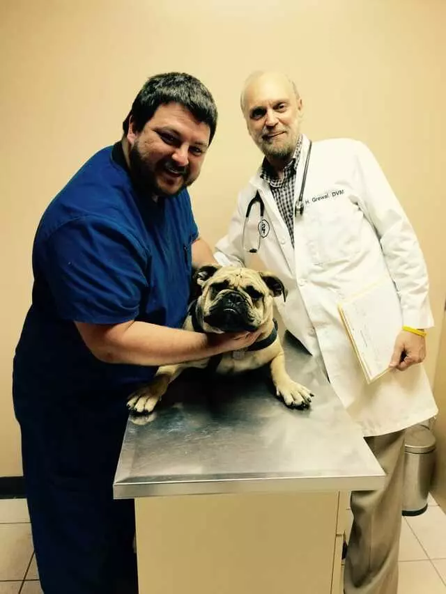 Animal Medical Center