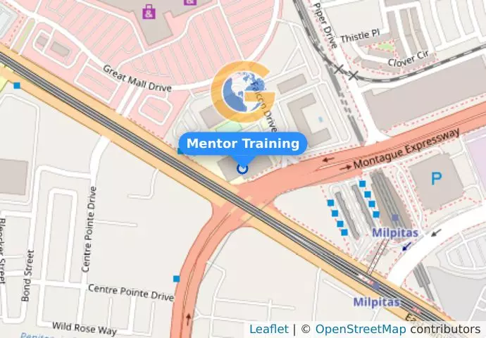Mentor Training