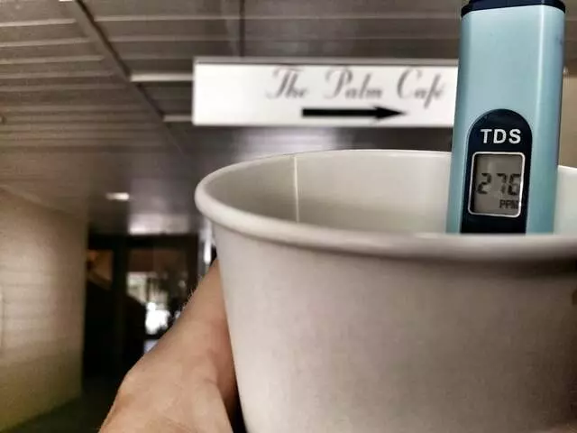 The Palm Cafe