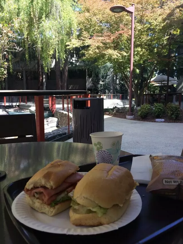 The Palm Cafe