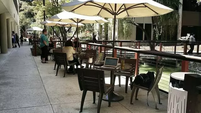 The Palm Cafe