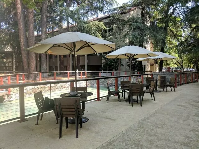 The Palm Cafe