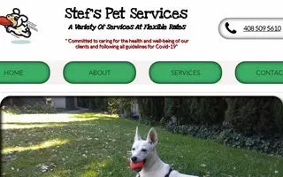 Stef's Pet Services