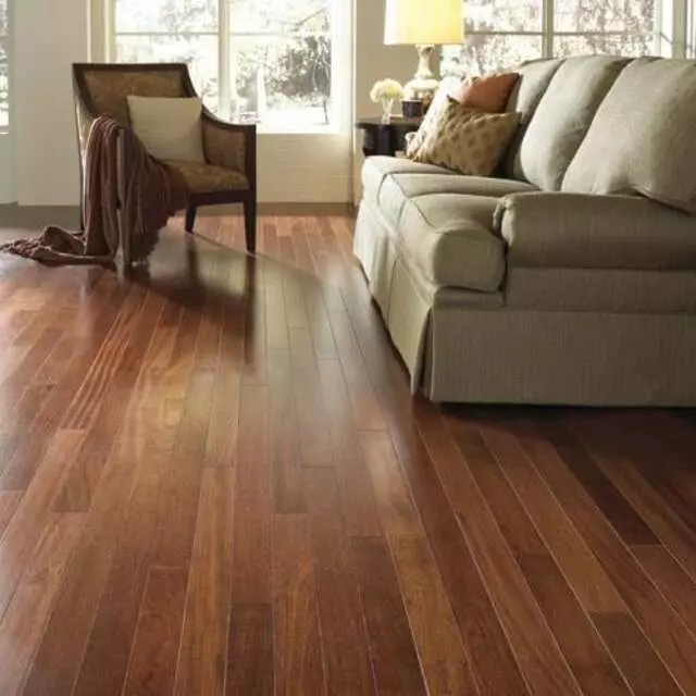 Carpet Plus USA