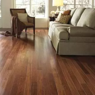 Carpet Plus USA