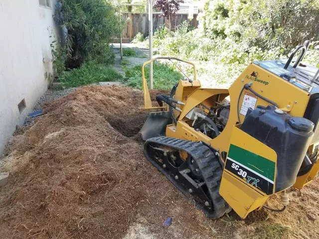 Acevedo Tree Service