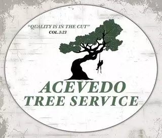 Acevedo Tree Service