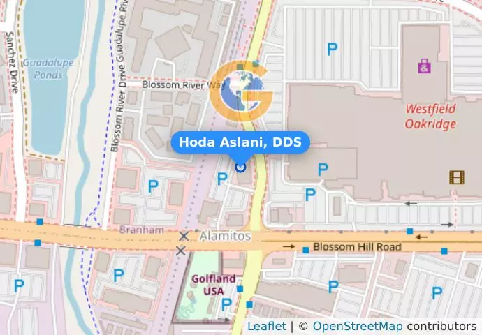 Hoda Aslani, DDS