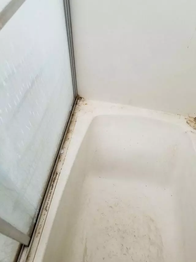 Amazing Clean World