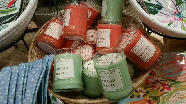 Anthropologie