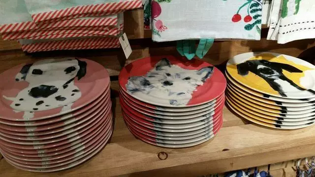 Anthropologie