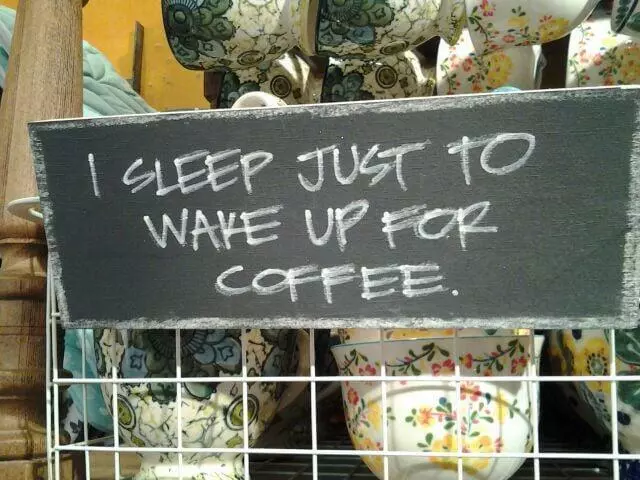 Anthropologie