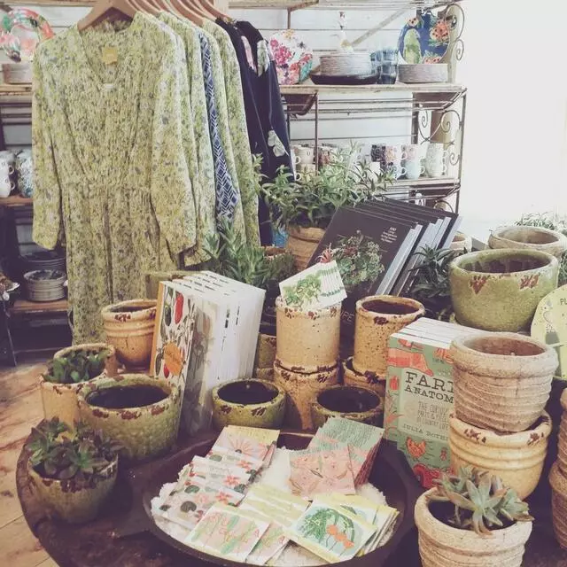 Anthropologie