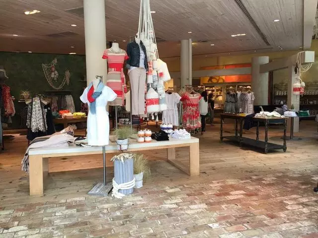 Anthropologie