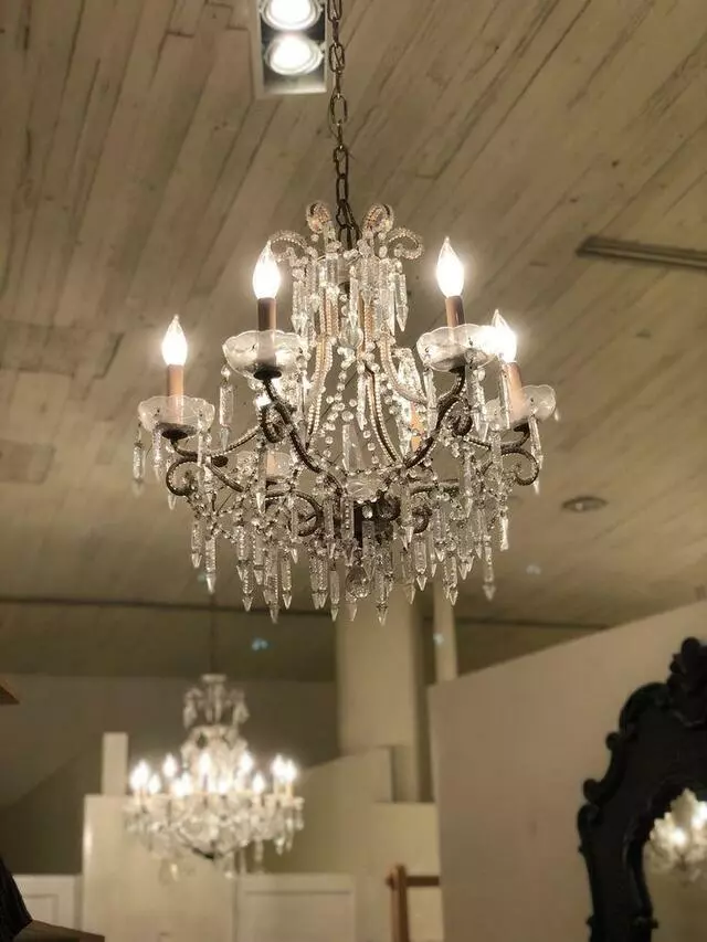 Anthropologie