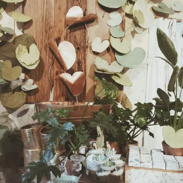 Anthropologie