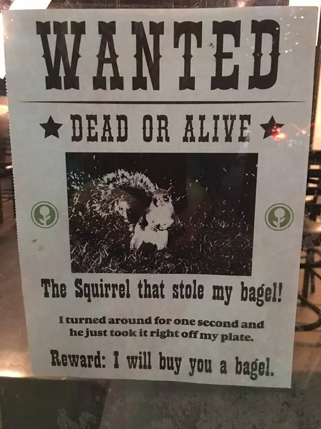 ISO Beers