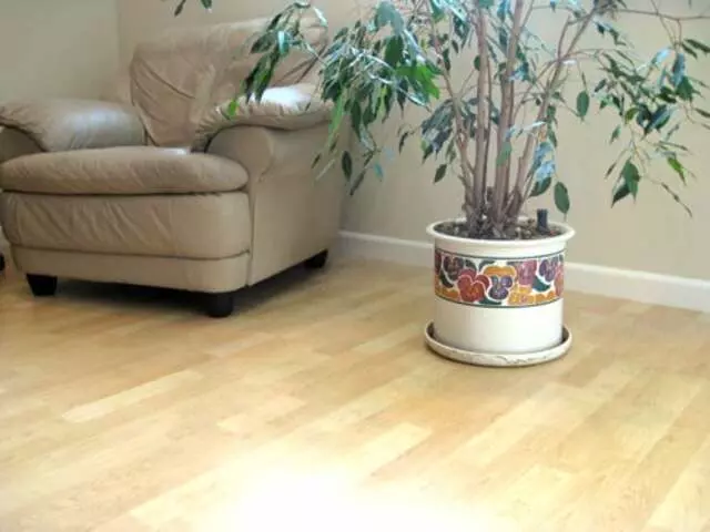 Andy’s Carpet & Floor