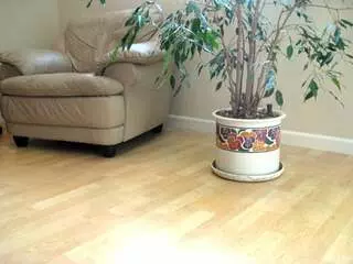 Andy’s Carpet & Floor