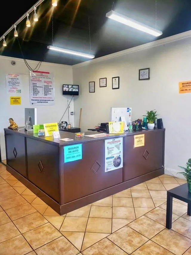 LM Multiservices