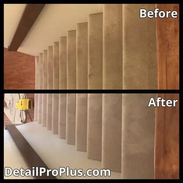 Detail Pro Plus